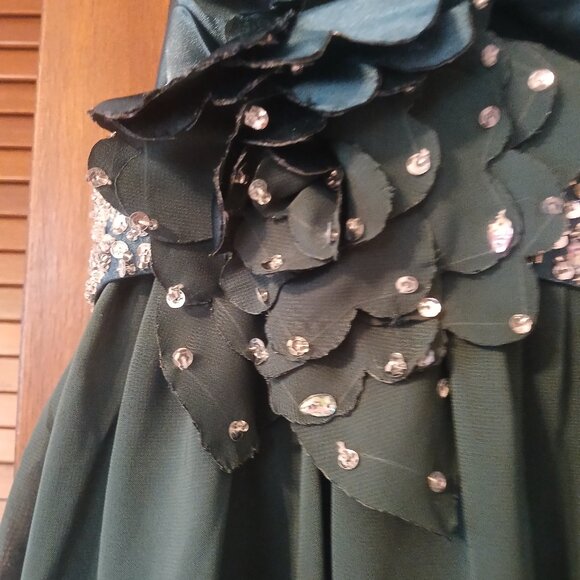 Emerald green long dress/gown with beautiful embellishments, size 2 - Picture 5 of 5